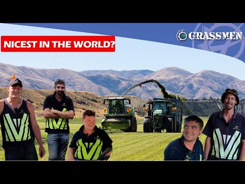 GRASSMEN - Westbound \u0026 Down, Killen Bros