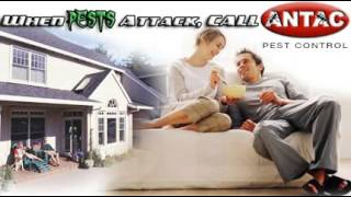 Antac Pest Control - San Diego, CA