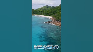 سورة الروم و..كا..نك تسمعها لأ.و.ل مر.ة ❤️..💮🌼.💜💗🌸💐بصوت الشيخ حمزة مد.بو.ح 💓💟...🏵️.💮🌼..💛💓