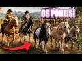 LEVANDO OS PÔNEIS PARA VENDER NO LEILÃO! - aventuras fora da história! RDR2