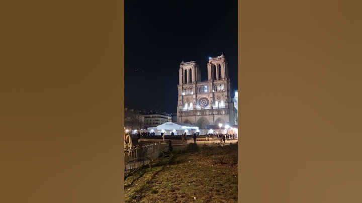 The beautiful Notre Dame of Paris, nightlife 🌛