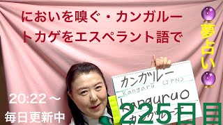 【225日目】　#野生動物  ■ においを嗅ぐ　■ カンガルー　■ トカゲをエスペラント語で‼️  #語学 #暗記  #カンガルー #トカゲ　#スピリチュアル #エンジェルナンバー  #2022