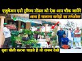 Education Agro Tourism से है इस युवा का सालाना करोड़ो का टर्नओवर | Organic Farming | Organic Acre