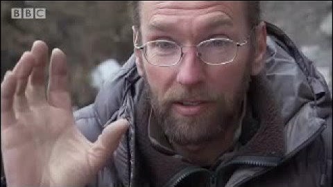 Close encounter with a predator - Snow Leopard: Beyond the Myth - BBC animals