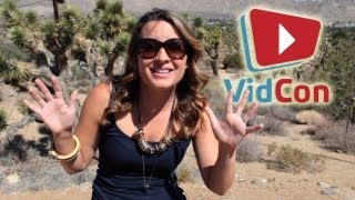 VIDCON 2012  UPDATE