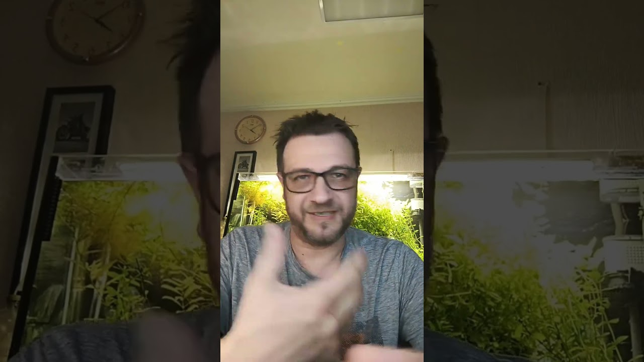 Аквариумные растения - это биофильтраторы?