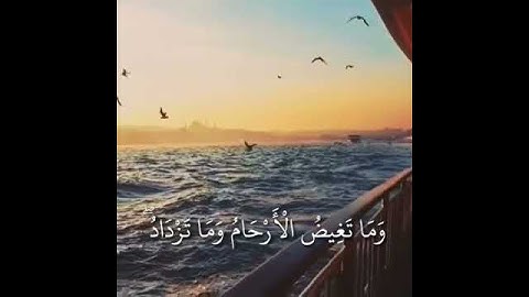قرآن كريم بصوت رعد الكردي 💙🎧 أجمل حالات واتس اب دينية مقاطع دينية قصيرة مقاطع انستقرام دينية