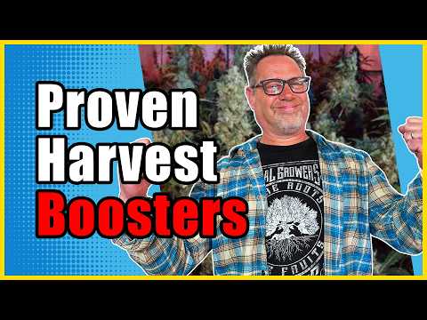 Add These to Your Grow for Bigger, Healthier Cannabis Plants
