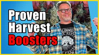 Add These to Your Grow for Bigger, Healthier Cannabis Plants