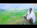 Kassahun Seid Borena ቦረና New Ethiopian Music 2017 Official Video Kassahun Seid Borena ቦረና New Ethiopian Music 2017 Official Video