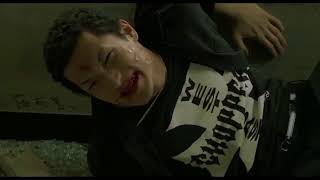 Crows Zero Amv