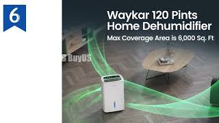 Top 10 Selling Dehumidifier of 2024 Top 10 Selling Dehumidifier of 2024