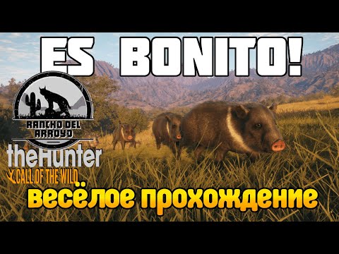 Как получить новое оружие? Прохождение theHunter Call of Wild карта Rancho del Arroyo