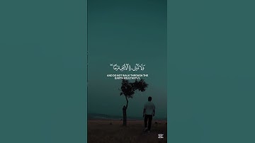 القرءان الكريم ما تيسر من سورة لقمان للقارئ الشيخ ياسر الدوسري