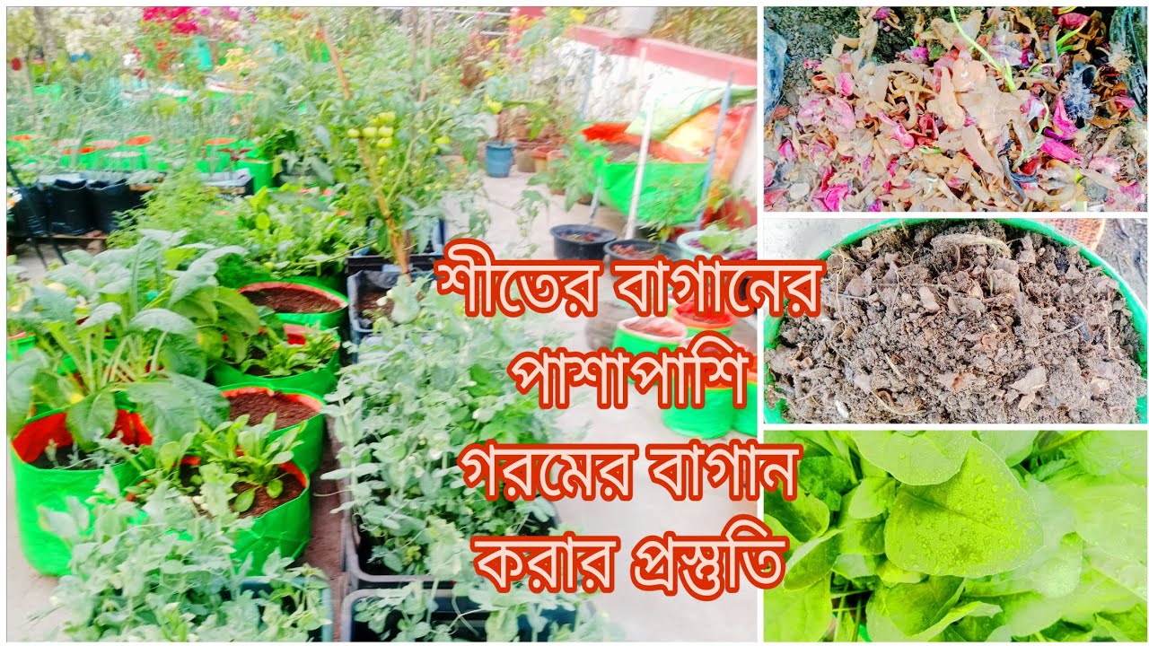 শীতের বাগানের পাশাপাশি গরমের বাগান করার প্রস্তুতি। ছাদ বাগান থেকে তৈরি তৈরি করুন কম্পোস্ট সার