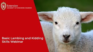 Basic Lambing and Kidding Skills