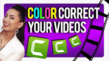How to Do Color Correction in Camtasia 2021 to enhance your videos!