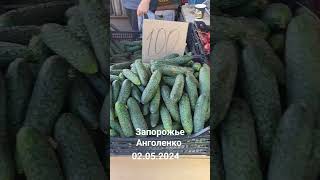 Запорожье рынок Анголенко огурец РЕДИСКА капуста помидор