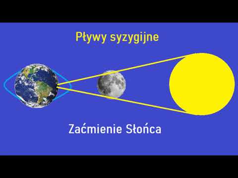 Wideo: Dlaczego Występują Przypływy I Odpływy?