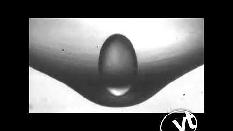 Slow motion footage of a droplet coalescing with the continuous phase