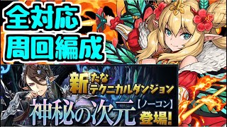【パズドラ】神秘の次元 全対応ロザリンパ 編成&立ち回り解説! アルバートの希石を集めよう!!