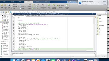 Manual Rat Brain Extraction from T1 MRI