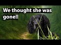 Secret COVENANTER TRAIL Nearly Ended In Disaster!