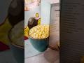 How to make Blanco Mac &amp; Cheese-Fallout cookbook Recipe. #falloutlore #fallout #falloutshow #fyp