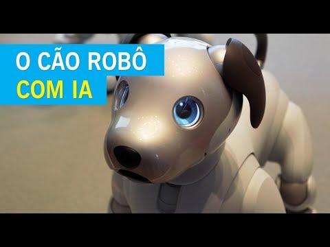 Vídeo: Sony Patenteia Um Robô Companheiro De 