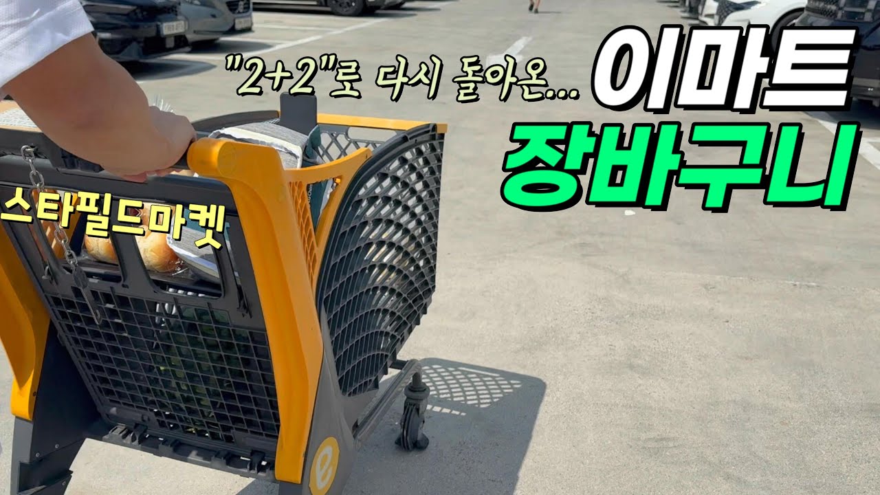 이마트 장보기에 끼워넣는 두 달 잠수의 이유🏊 둘에서 넷이 되어 돌아온 집밥 브이로그