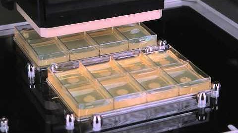 Molecular Devices Custom Solutions - QPIX Showcase