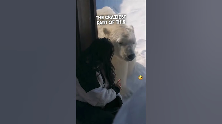 This girl became best friends with a polar bear ❤️ - DayDayNews