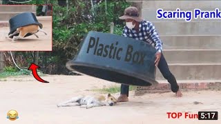 So scary prank!! Big plastic bowel vs sleeping dog ||misterfuntube