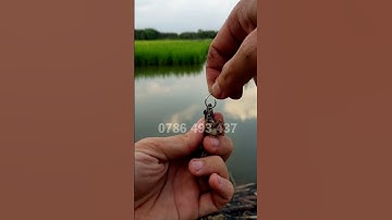 Các móc nhái trong câu cắm cá lóc đơn giản #shorts