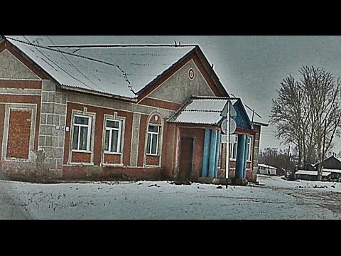 Первомайский район алтайский край фото