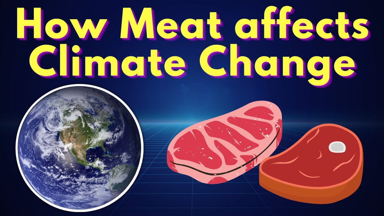 How meat affects the climate change? | Global Warming | Is Eating meat ...