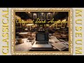 All Nighter at The Museum 🕯️ Sad Classical Music for Studying & Writing (Chopin, Schubert)