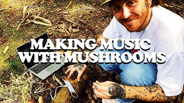 MAKING MUSIC WITH MUSHROOMS (PLAYTRONICA  - TOUCH ME REVIEW)