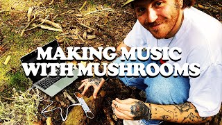 MAKING MUSIC WITH MUSHROOMS (PLAYTRONICA   TOUCH ME REVIEW)