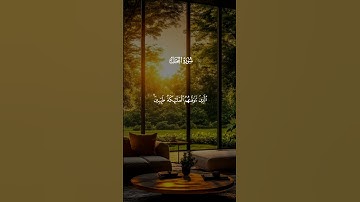 تلاوة خاشعة جداً للشيخ سعود الشريم | تلامس القلوب #المصحف