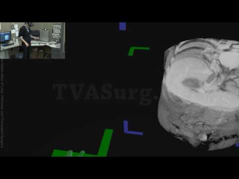 TVASurg Medical Imaging VR Module