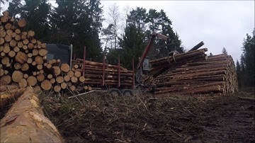 Timber Loading / Volvo FH500 / Epsilon M12L