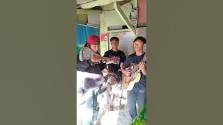 yasir lana versi pengamen jalanan kren banget dangdutkeun guys