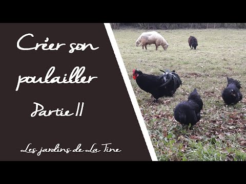 Vidéo: Poulaillers Dans Votre Jardin - Réseau Matador