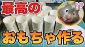主の手作りハウスに戸惑うハムスター ハンモックでも遊んでおくれ Youtube