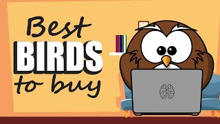 Best 7 Birds To Have In Your Home