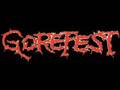 Gorefest  when the dead walked the earth