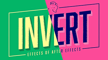 Invert | Effects of After Effects