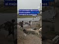 Así quedó México tras el paso del huracán Polo