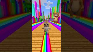 Silly Cat in Rainbow Path | Minecraft FastWalk 🐱🐈#minecraft #shorts